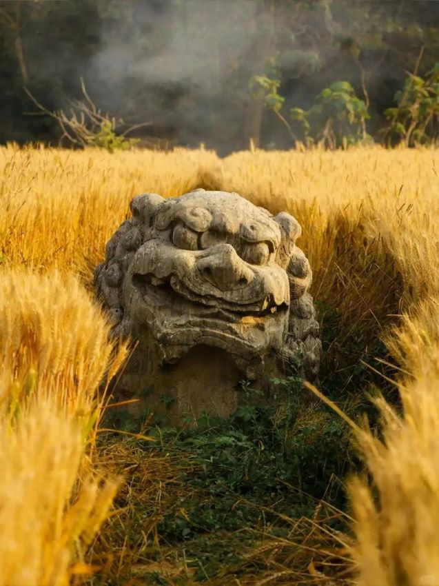 Henan, il millenario Mausoleo Imperiale della dinastia Song nei campi di grano
